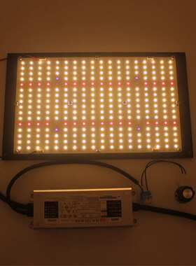 125W LM301H + 660nm uv ir LED 量子板植物灯 配明纬XLG电源