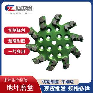 金刚石磨盘10寸250mm环氧地坪磨轮水泥石材混凝土地坪磨盘