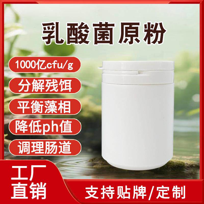 乳酸菌原粉1000亿肠道扩培水产专用粉生物菌剂厂家原料剂直销