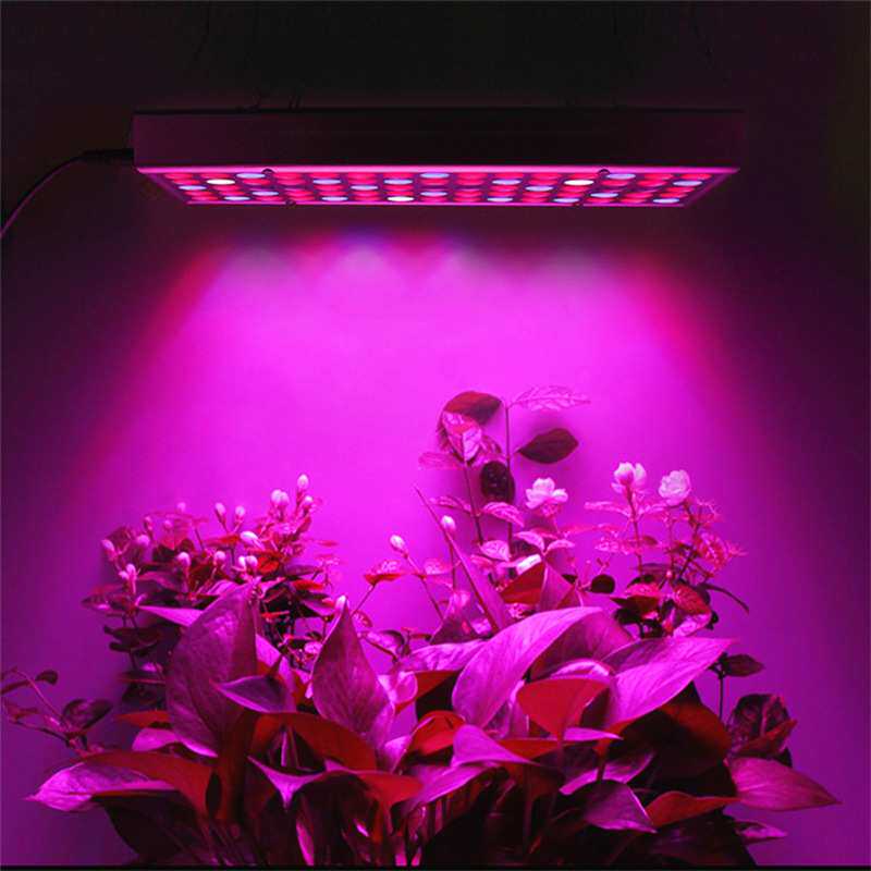 led植物灯45w面板植物生长补光灯多肉植物补光生长灯全光谱植物灯