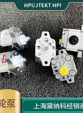 法国HPI齿轮泵C5075099 P3BAN1003CL10B01N经销进口液压泵 矿山