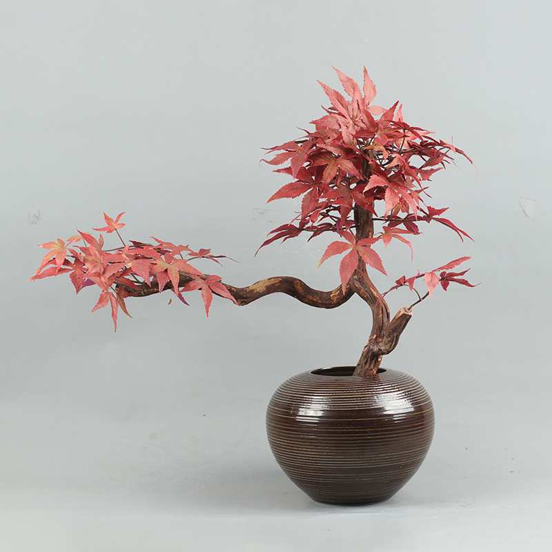 新中式陶瓷花瓶摆件家居客厅仿真花梅花干花插花玄关电视柜装饰品