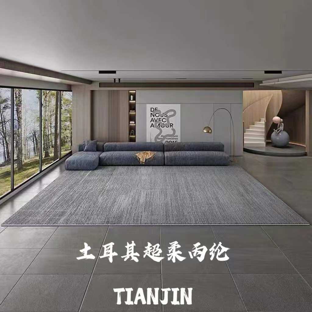 土耳其丙纶轻奢客厅地毯沙发茶几耐脏地垫北欧卧室极简灰色床边毯,3C数码配件,摄像机配件,淘宝优惠券,粉丝福利购,淘宝优惠卷