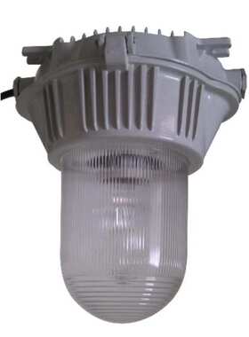 ZY8600防眩泛光灯150W  70W   100W