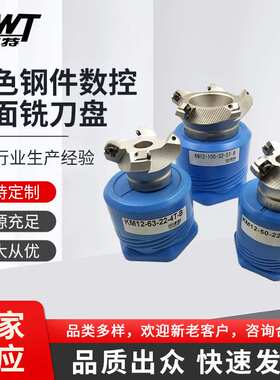 KM12-50-22-4T-B白色钢件数控平面铣刀盘 高耐磨铣床飞刀盘规格