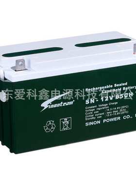 Sinonteam赛能蓄电池SN-12V65CH 12v65ah 直流屏太阳能铅酸电池