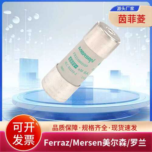 FR22AM50V63P FR22AM50V80P FR22AM50V100P FR22AM50V125P熔断器