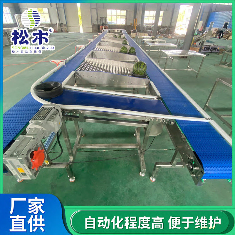 红玉大小西瓜香瓜称重分级包装流水线 柚子榴莲葡萄无损分选机