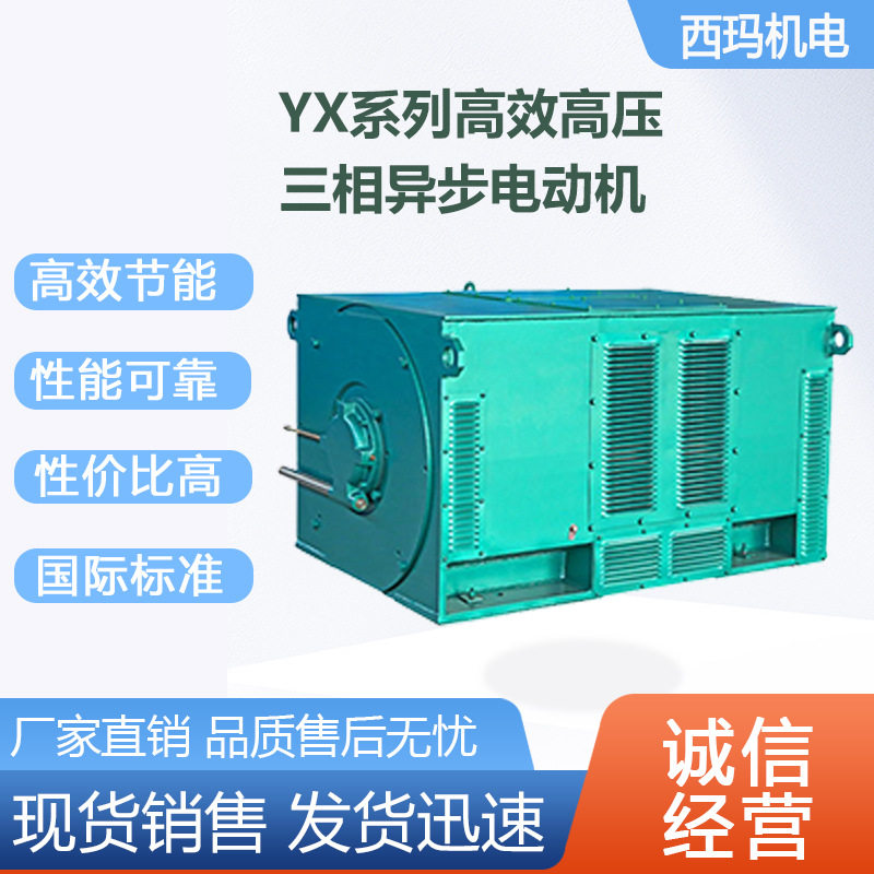 西安西玛电机YX450-4极1000KW 10KV大外圆型鼠笼型三相异步电动机