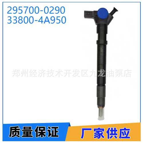 295700-0290 共轨喷油器 33800-4A950 适用于现代D4CB VGT Euro 6