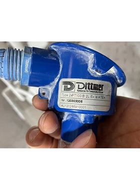 现货Dittmer温度传感器2xPt100 B 2L