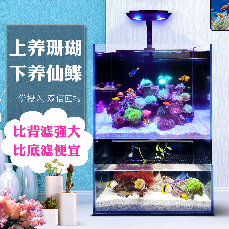 体子缸观一双式海缸 桌面底滤缸 创意珊瑚缸 双层 赏鱼缸