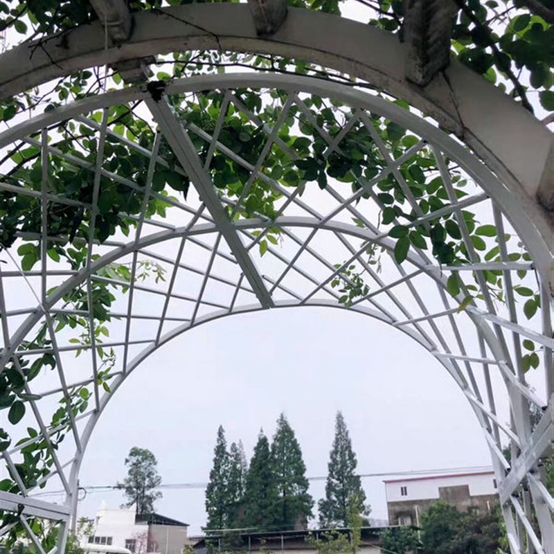 欧式铁艺爬户架花支架蔷薇绿季花架藤外铁线莲攀爬花拱门月植花架