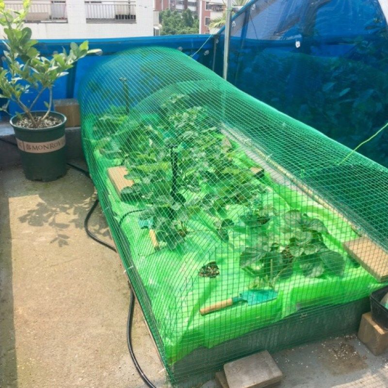 荷兰网铁丝网围栏小网孔养殖网养鸡网防护网防鼠鸟笼网隔离网铁网