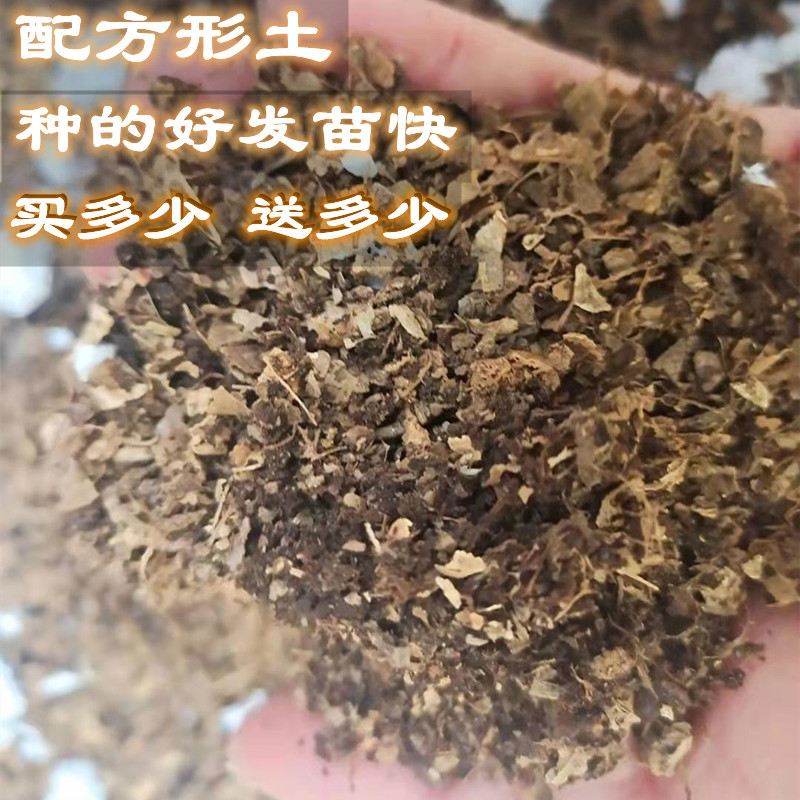 花土营养土养花种菜有机土壤多肉绿萝兰花君子兰月季通用型种植土