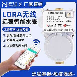 LoraWAN无线远传智能水表物联网水表纯铜