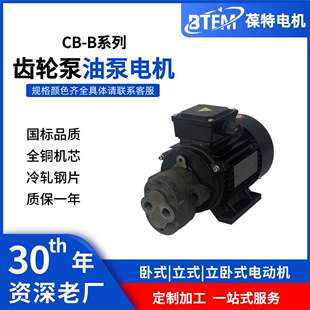 铝壳三相异步电动机液压站油泵摆线针轮减速机马达液压专用大功率