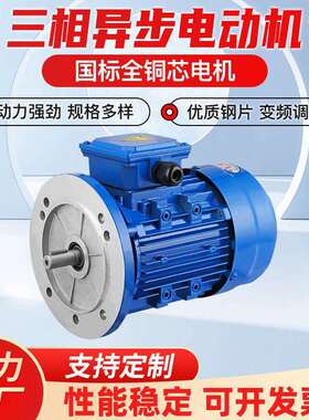 YE2/YE3三相异步电机380V0.55/0.75/1.1/2.2/3/4/5.5/7.5/11/15KW