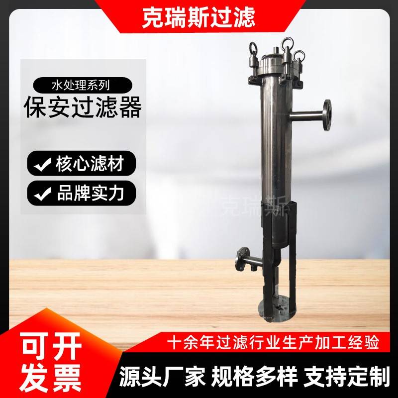 过滤304不锈钢保安过滤器精密保安折叠滤芯式过滤器