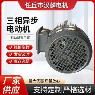 源头厂家三相异步电动机YE3 2三相电机0.55W铝壳定制 71M2