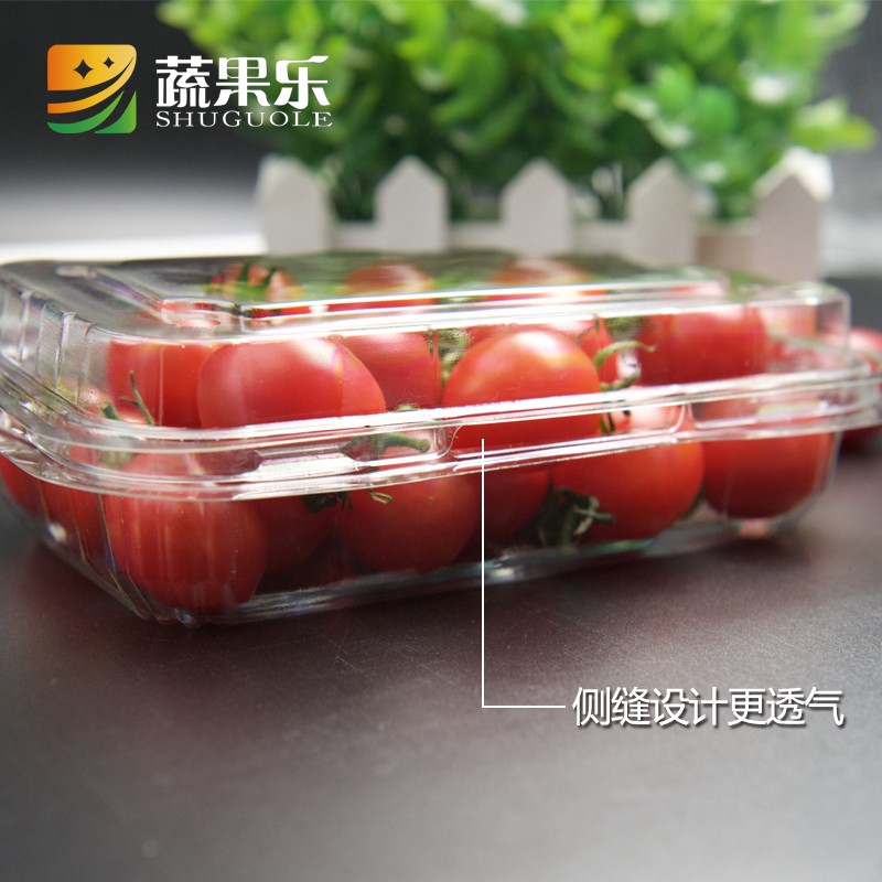 蔬果乐300A一次性高透明地瓜干小蕃茄水果切盒塑料打包盒300g装