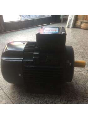 YSJ8024三相异步电动机/天/