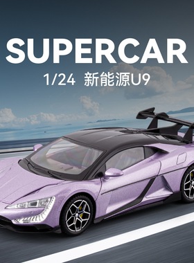 车致1:24新能源U9跑车模型仿真声光回力合金儿童玩具礼物摆件