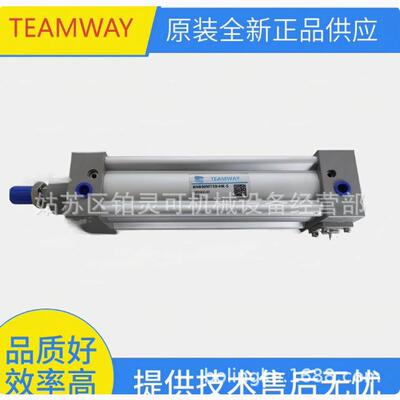 TEAMWAY气压缸TA32N125-A-S DNB50M55-CG-LN02A-2 DNB40M680SH