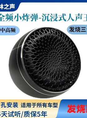 大柏林之声汽车音响中置高音全频喇叭一体无损升级三分频人声环绕