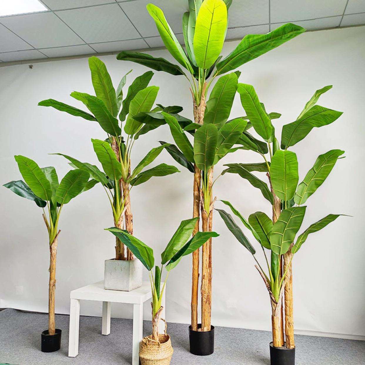 仿真植物芭蕉树室内摆件大型盆栽香蕉树软装造景落地假绿植景观树