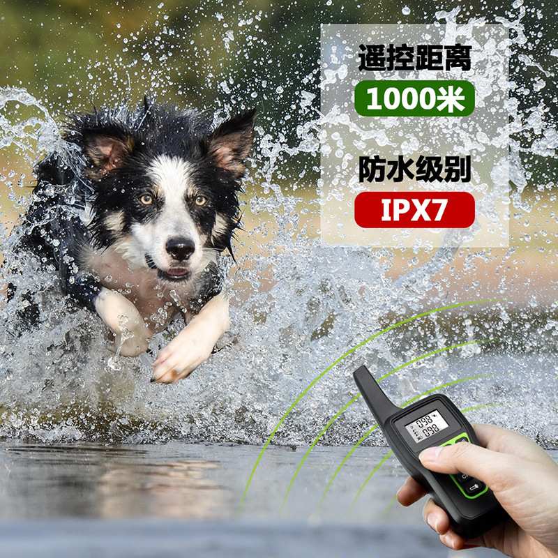 一拖二遥控训狗器声控止吠器狗用品电子训狗用品项圈狗狗训练器