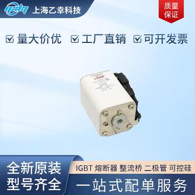 巴斯曼熔断器 170M4540 170M4558 170M4559 170M4560 170M4561