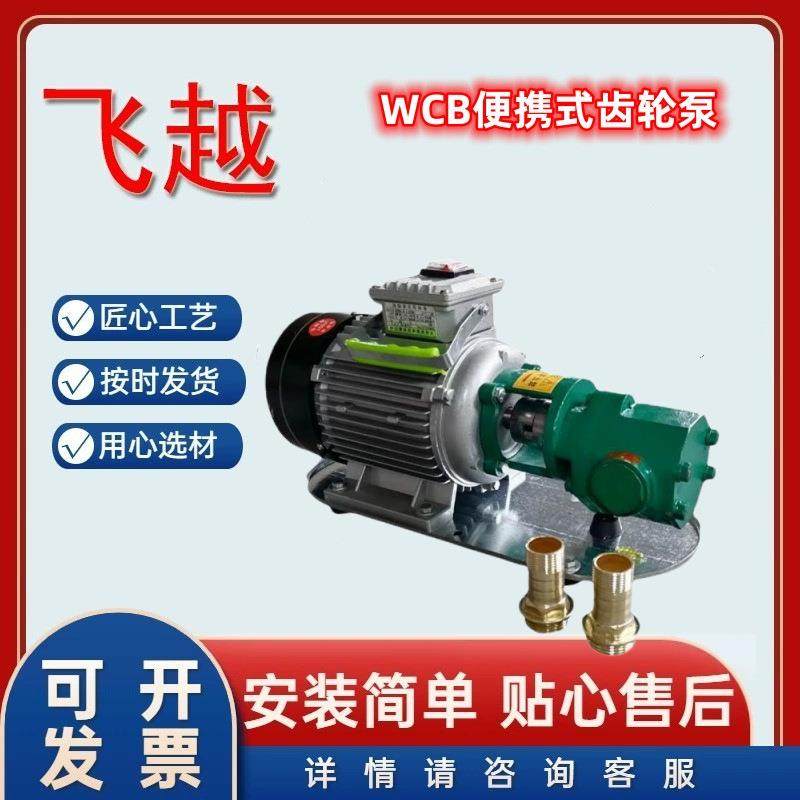 小流量便携卧式WCB75销售小型220V/380V齿轮抽油泵,五金/工具,其他机械五金,淘宝优惠券,粉丝福利购,淘宝优惠卷