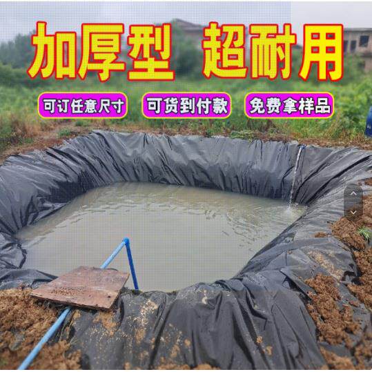 鱼塘防渗膜加厚土工膜黑色塑料膜地膜防漏水池塘防水布鱼池专用