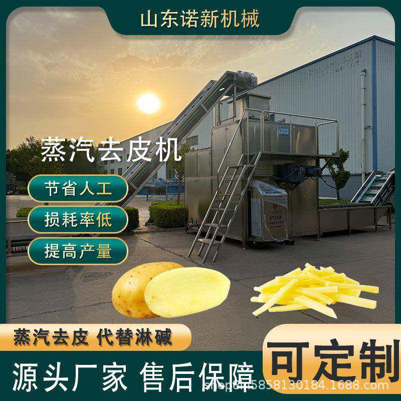 诺新全自动商用葡萄蒸汽去皮机大型冬枣红枣脱皮机