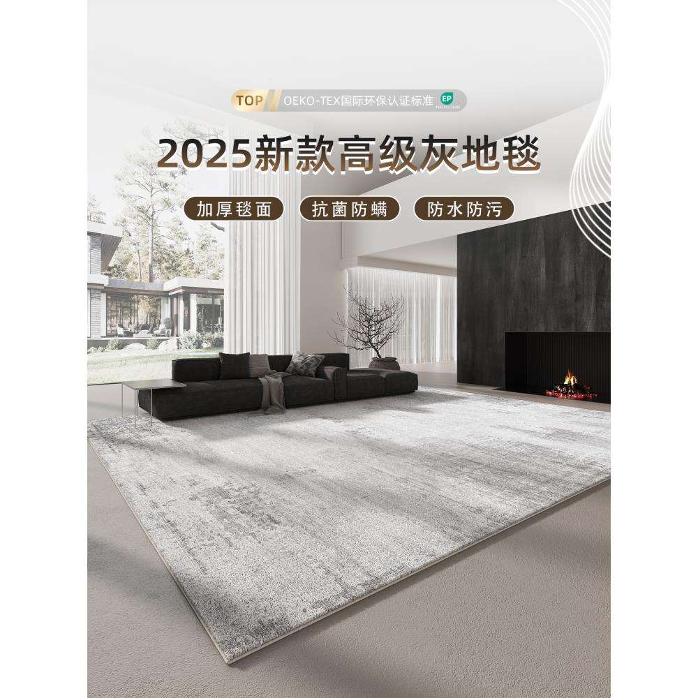 地毯客厅2025新款轻奢高级灰色卧室地垫家用沙发免洗可擦防水防污