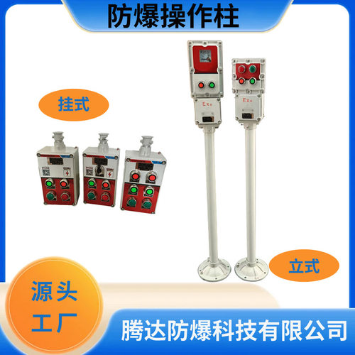 lbz-a2d2b1G防爆操作柱 二灯二钮（一表）操作柱 立式/挂式非标