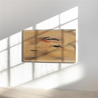 crisis art98抽象画装饰画客厅卧室办公室暖色侘寂风