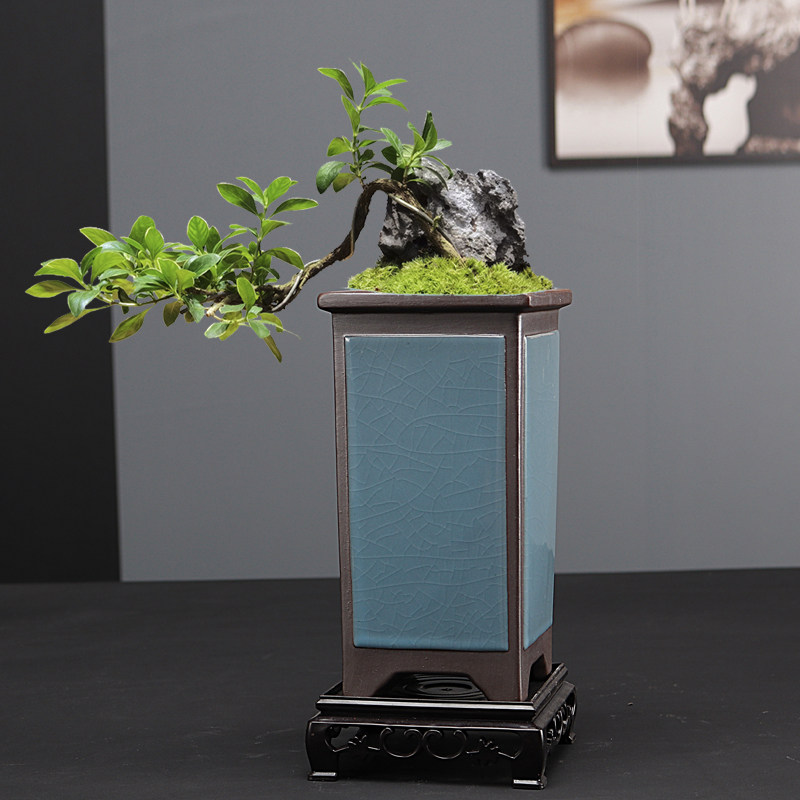 紫砂兰花花盆创意高桩六月雪悬崖桩精品透气绿植盆景吊兰多肉花盆