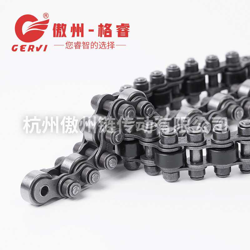 12BS单倍速链条08BS-C27-P16 16BS-65-P38托盘电子产品输送流水线