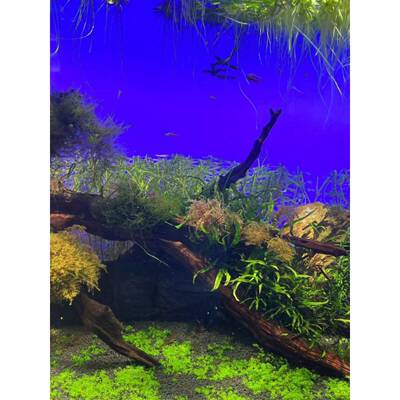 新型高亮度Rgbw鱼缸背景光板Aada水生植物水族箱背景光板上下渐变