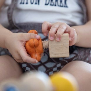 plan儿童拧螺丝组装 玩具益智木制宝宝动手玩具礼物5455