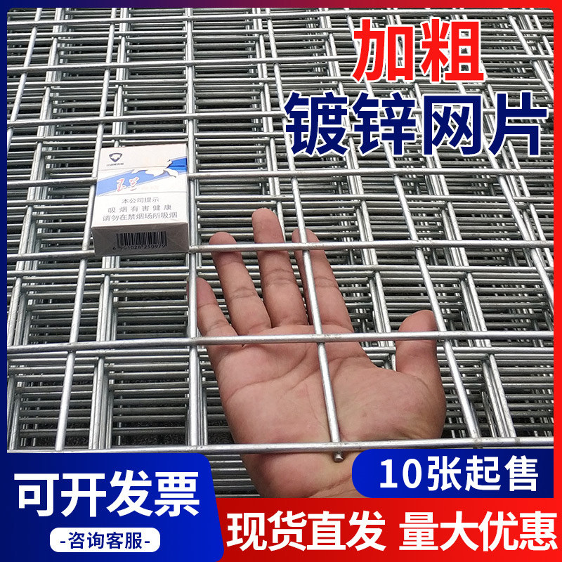 镀锌铁丝网围栏铁网格网网片防护网加粗电焊养殖网钢丝网小孔鸟笼