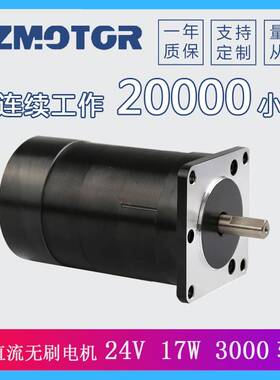 厂家直销57直流无刷电机57BLY45-23024V3000转17W自动化设备