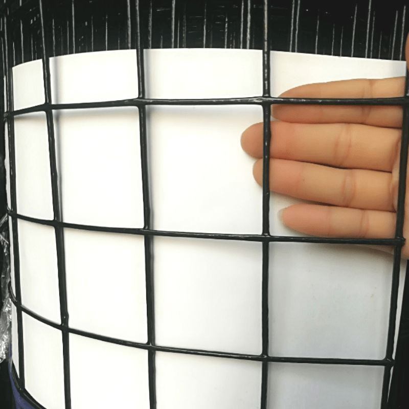 硬塑铁丝网围栏荷兰网养殖网养鸡网栅栏钢丝网铁网家用高速围网