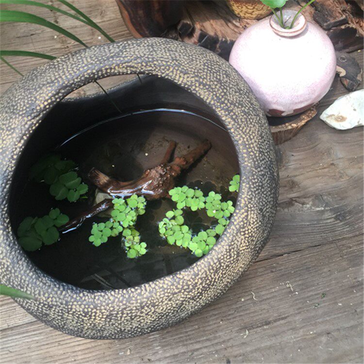 精品高端花器多肉老桩花盆复古粗陶手工古朴创意大号水培桌面简洁