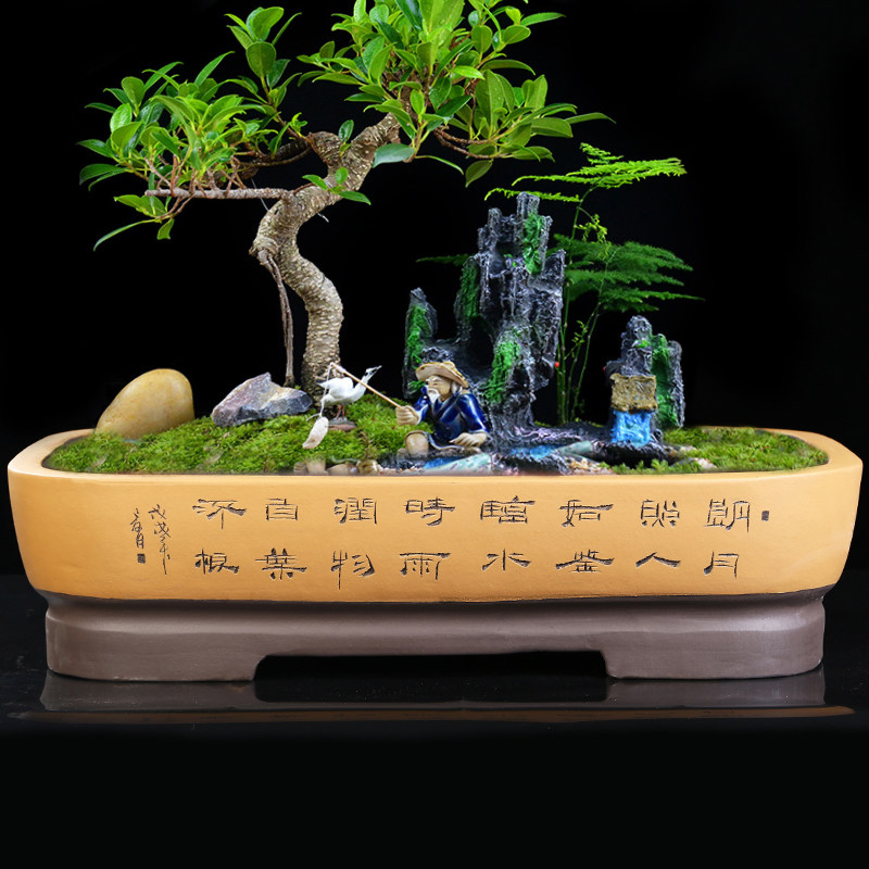 长款花盆阳台长条长方形中家风国砂透气假山吸水石紫用盆景盆特大
