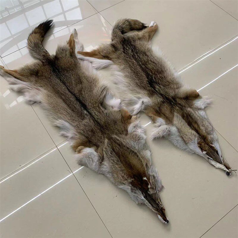 进口整只真狼皮加拿大郊狼皮床边毯皮草家居摆件装饰坐垫DIY手工