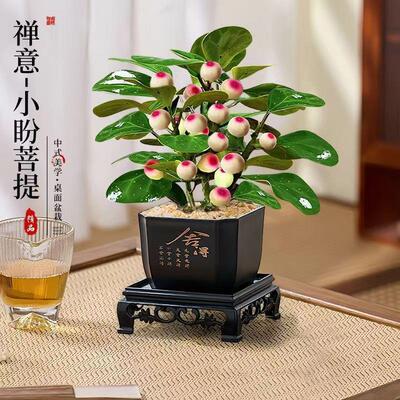 【下单立减50】小盼菩提禅意带花盆中式室内客厅好养茶桌办公室ZP