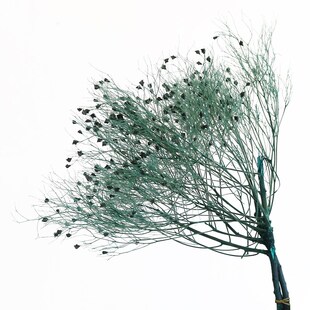 永花梦幻草柔丝干生花婚礼布置花材捧束手花diy材料包装饰手工